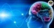 noções básicas em neurociência e sua influência na psicanálise