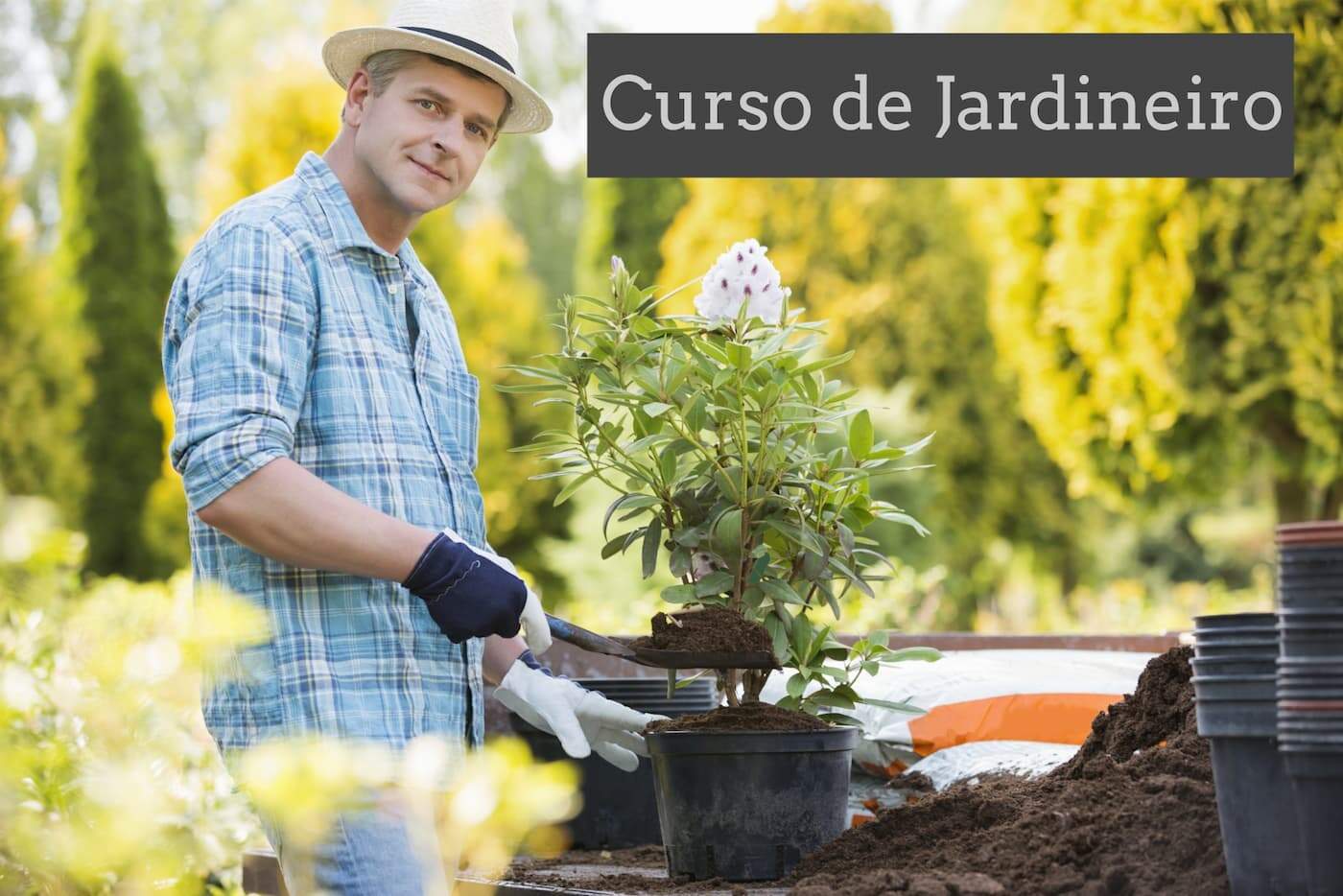 Curso de jardinagem online e gratuito