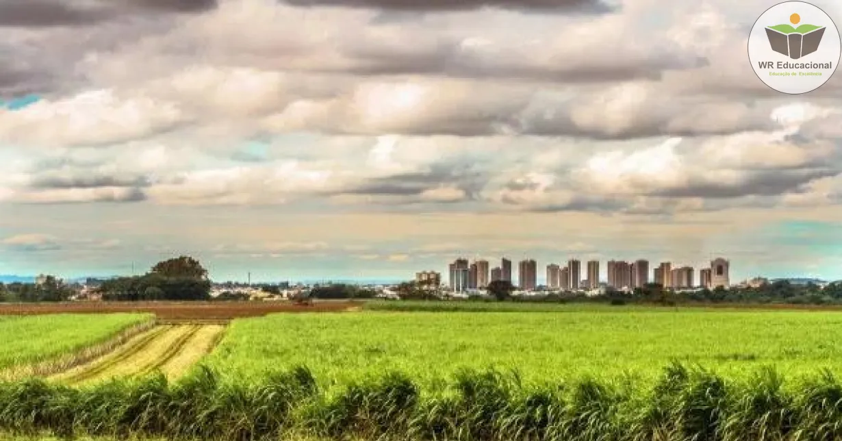 Cursos de A Educação Rural no Brasil