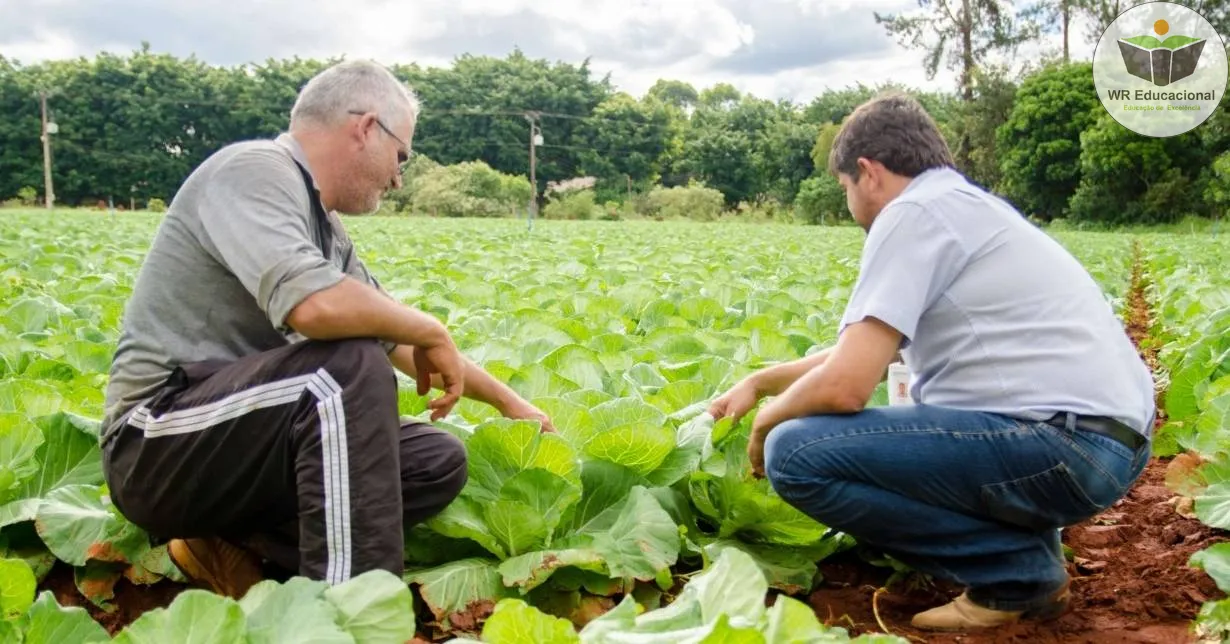 Cursos de Inicialização a Assistência Técnica e Extensão Rural - ATER