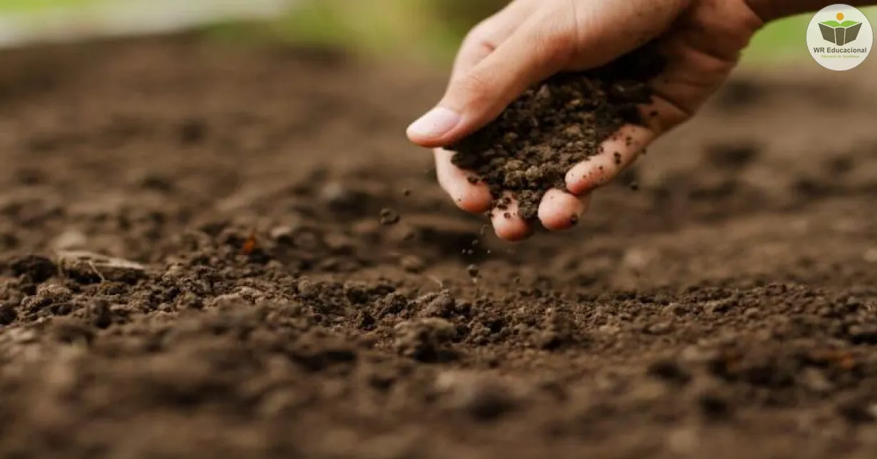 Curso Online Grátis de Fertilidade do Solo nos Últimos Tempos