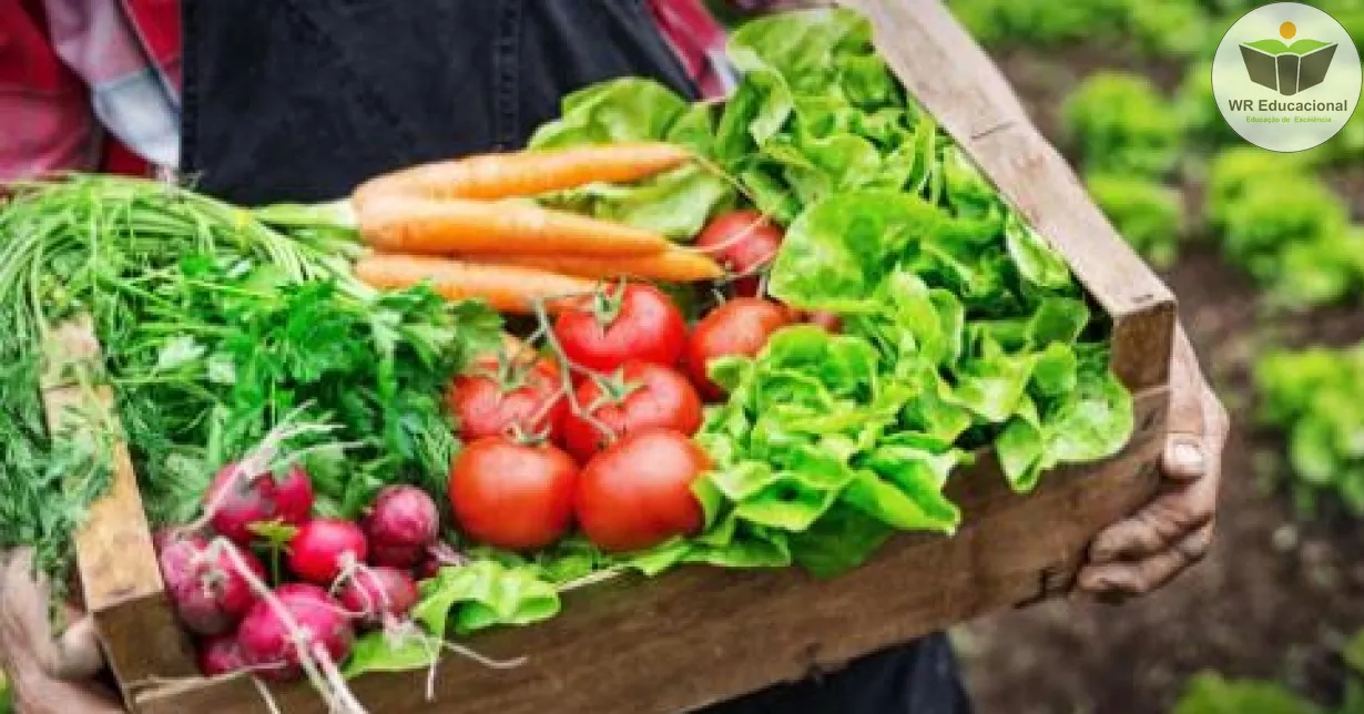 Curso Online Grátis de Introdução a Agricultura Orgânica