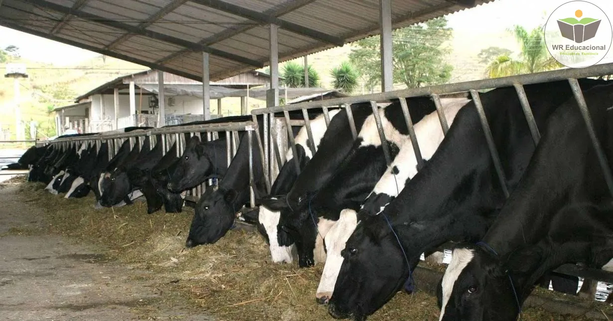Curso Online Grátis de Noções Básicas em Pecuária Leiteira Curso Online Grátis de Noções Básicas em Pecuária Leiteira