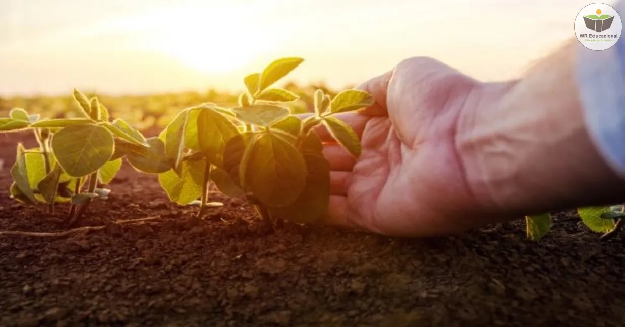 Curso Online Grátis de Regulamentação técnica da agricultura orgânica no Brasil