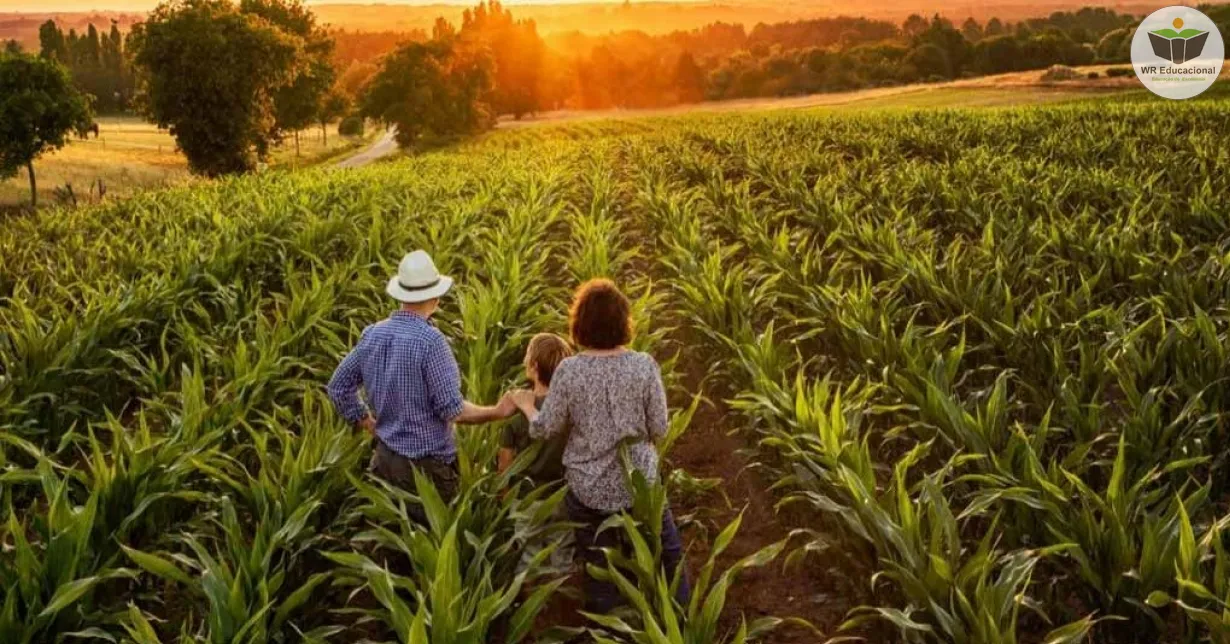 Curso Online Grátis de Sistemas Agroflorestais e Agricultura Familiar