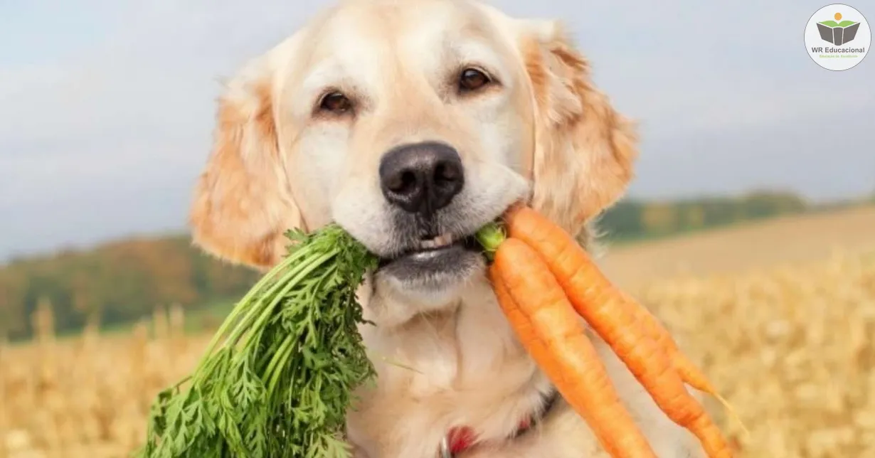 Cursos de Noções Básicas em Cuidados da Alimentação Animal