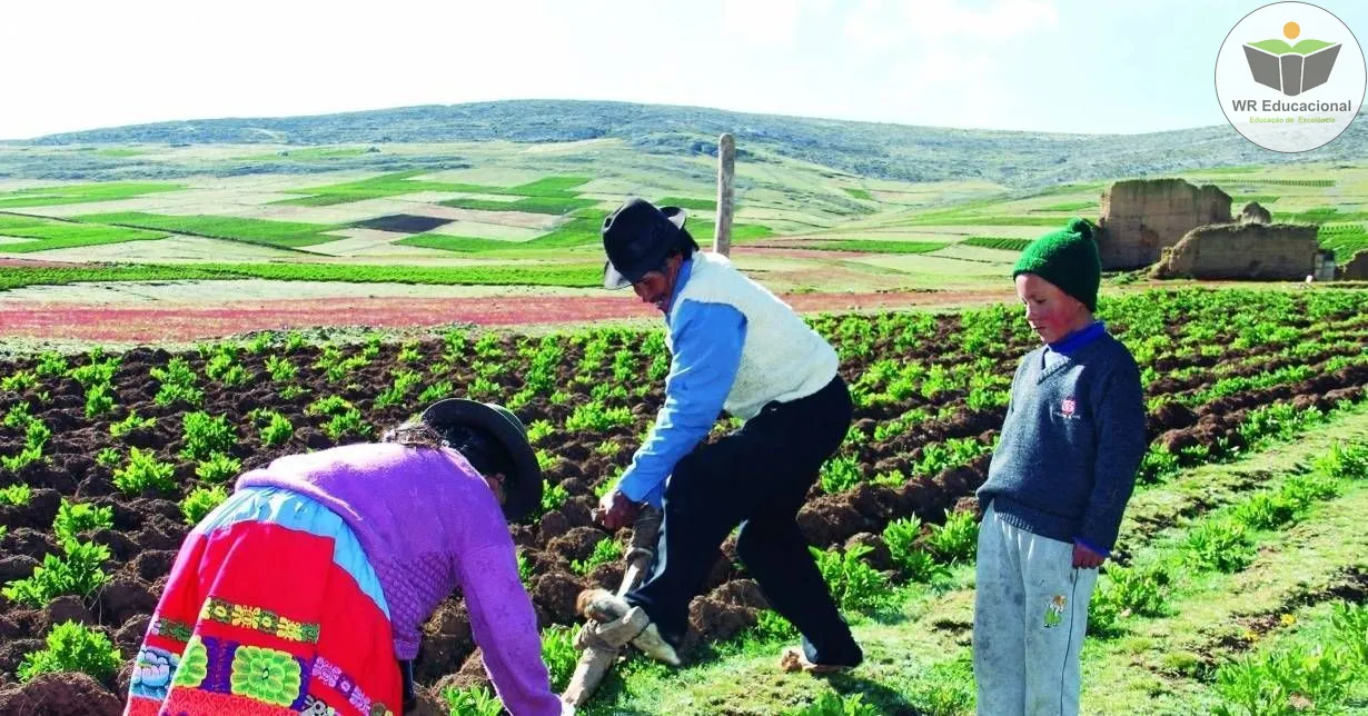 Curso Online Grátis de Introdução em Implementos Agrícolas