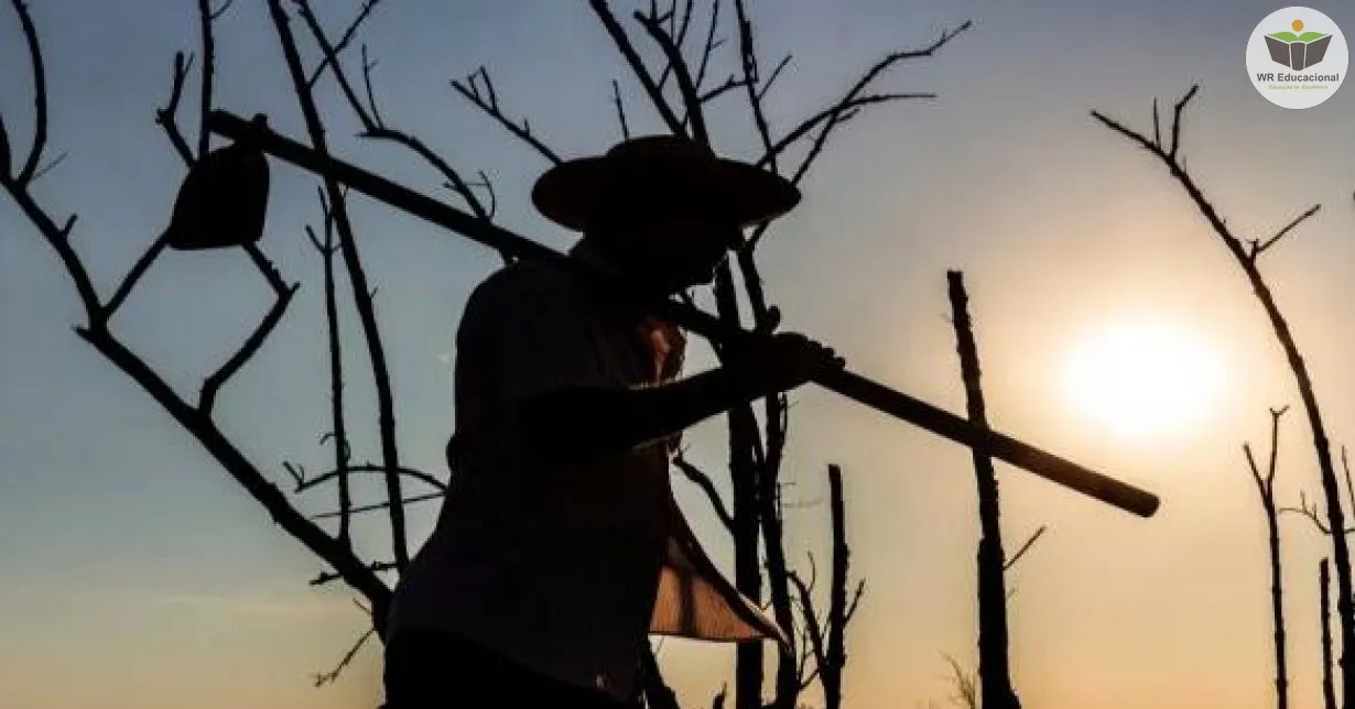 Curso Online Grátis de Conflitos Agrários e Demandas do Sistema Interamericano de Direitos Humanos ao Brasil