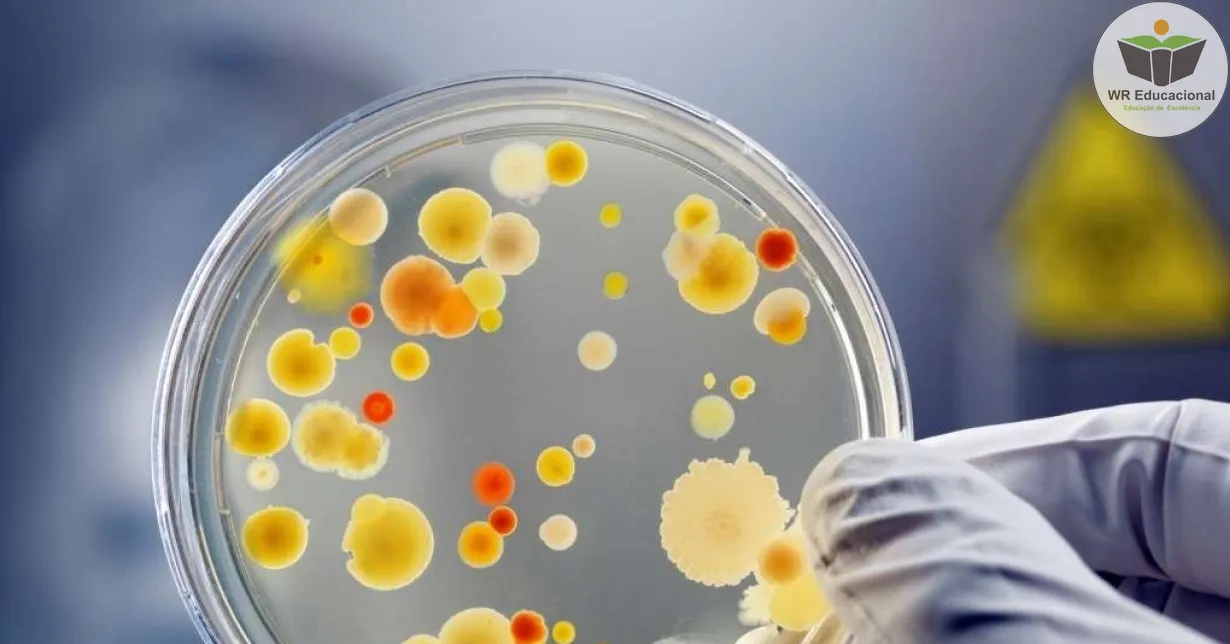 Curso Online Grátis de Microbiologia e Imunologia