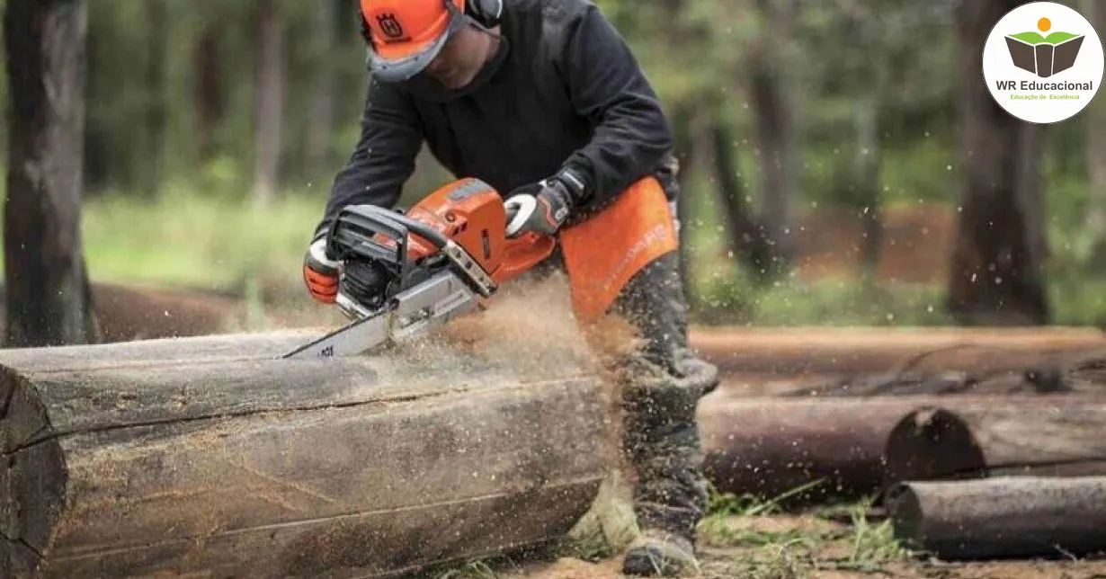 Curso Online Grátis de Avaliação de Segurança do Trabalho de Operadores de Motosserra