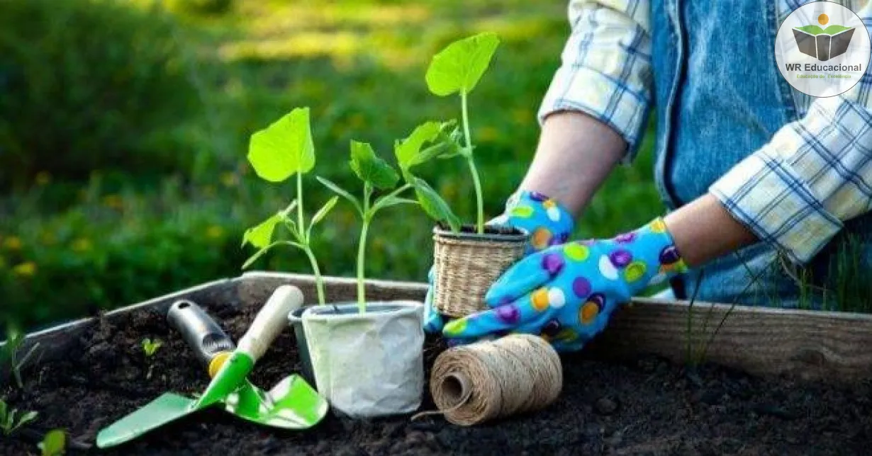 Curso Online Grátis de As Principais Ferramentas de Jardinagem e as Formas de Adubação