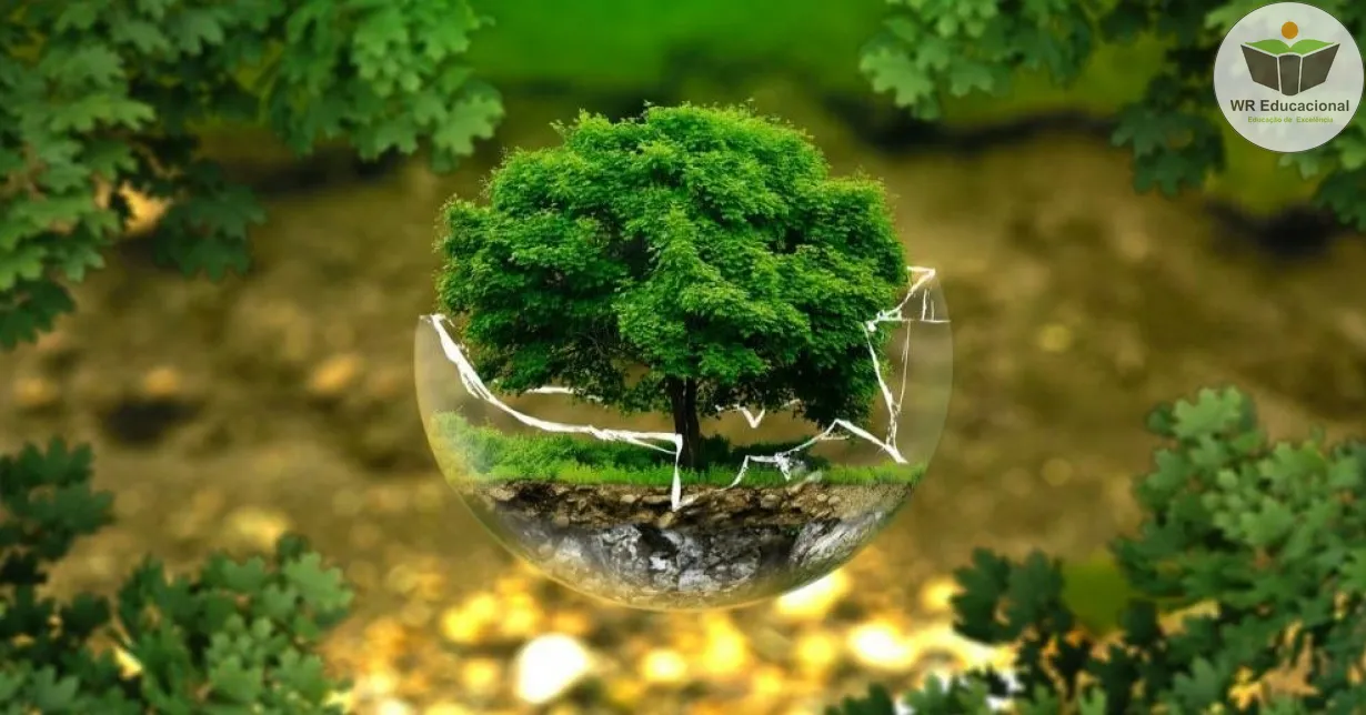 Curso Online Grátis de Educação Ambiental