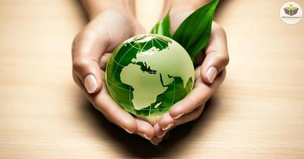 Curso Online Grátis de Gestão ambiental e sustentabilidade