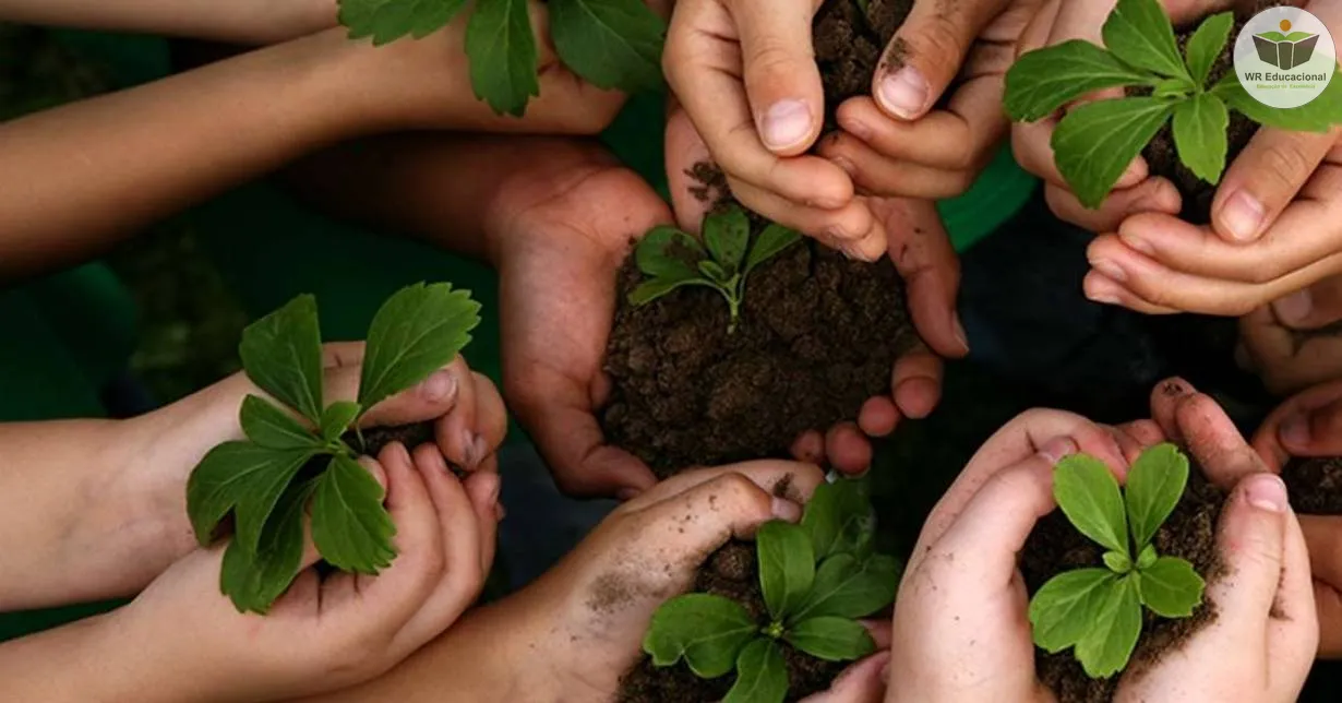 Curso Online Grátis de Gestão do Meio Ambiente: Sustentabilidade e Educação Ambiental