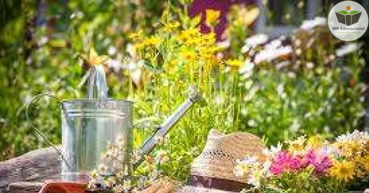 Curso Online Grátis de Jardinagem