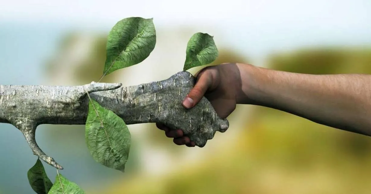 Curso Online Grátis de Meio Ambiente e Recursos Sustentáveis