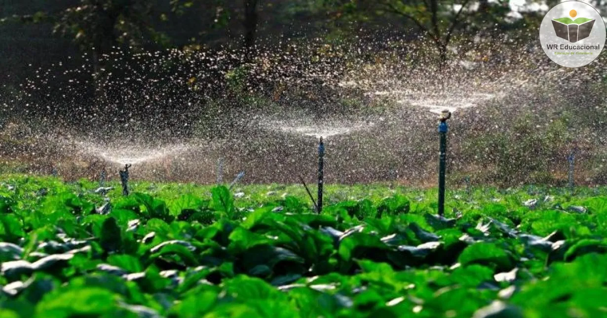 Curso Online Grátis de Métodos Artificiais de propagação, local de cultivo e plantio das mudas no jardim