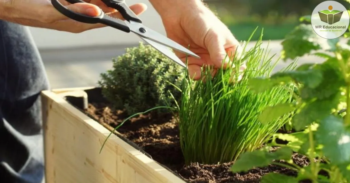 Curso Online Grátis de Horta em casa