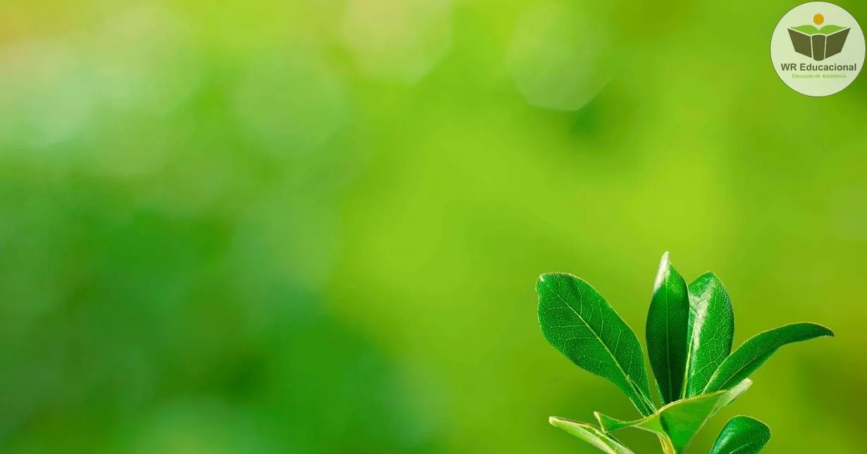 Curso Online Grátis de Meio Ambiente em Inteligência Estratégica