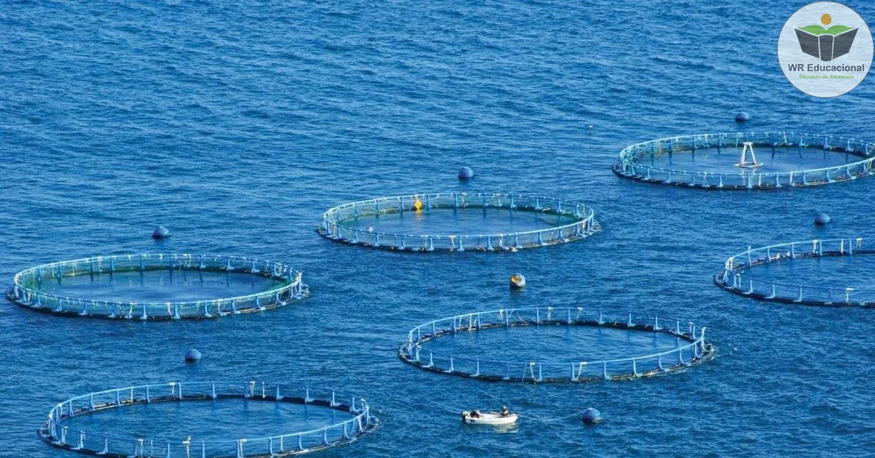 Curso Online Grátis de Noções de Aquicultura