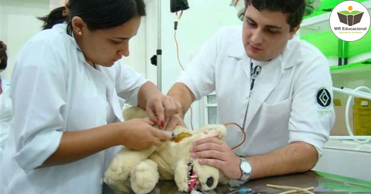 Cursos de Noções Básicas de Auxiliar de Veterinária e Pet Shop