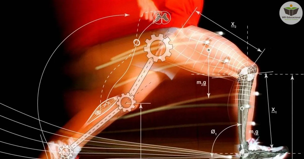 Cursos de NOÇÕES BÁSICAS EM FISIOLOGIA DO EXERCÍCIO