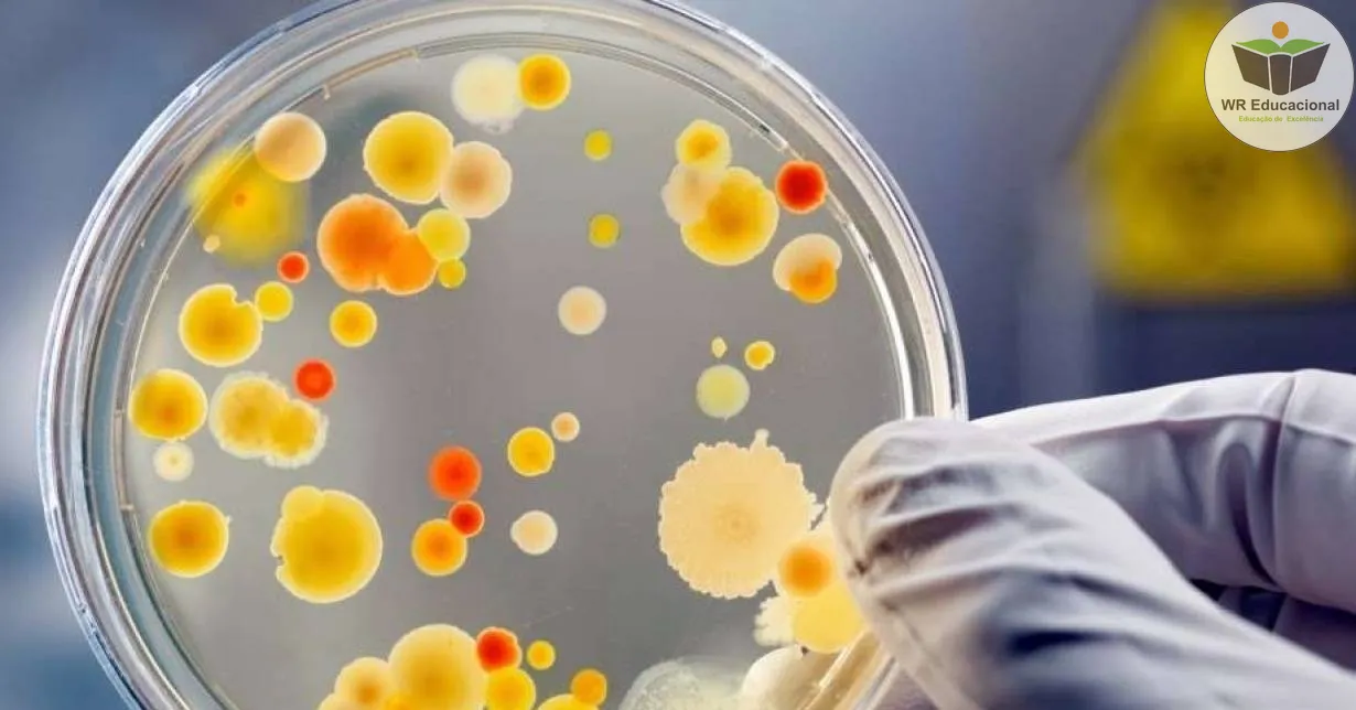 Cursos de NOÇÕES BÁSICAS EM MICROBIOLOGIA