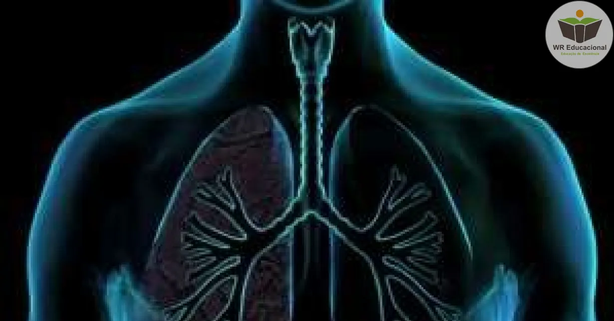 Curso Online Grátis de NOÇÕES BÁSICAS SOBRE SISTEMA RESPIRATÓRIO Curso Online Grátis de NOÇÕES BÁSICAS SOBRE SISTEMA RESPIRATÓRIO