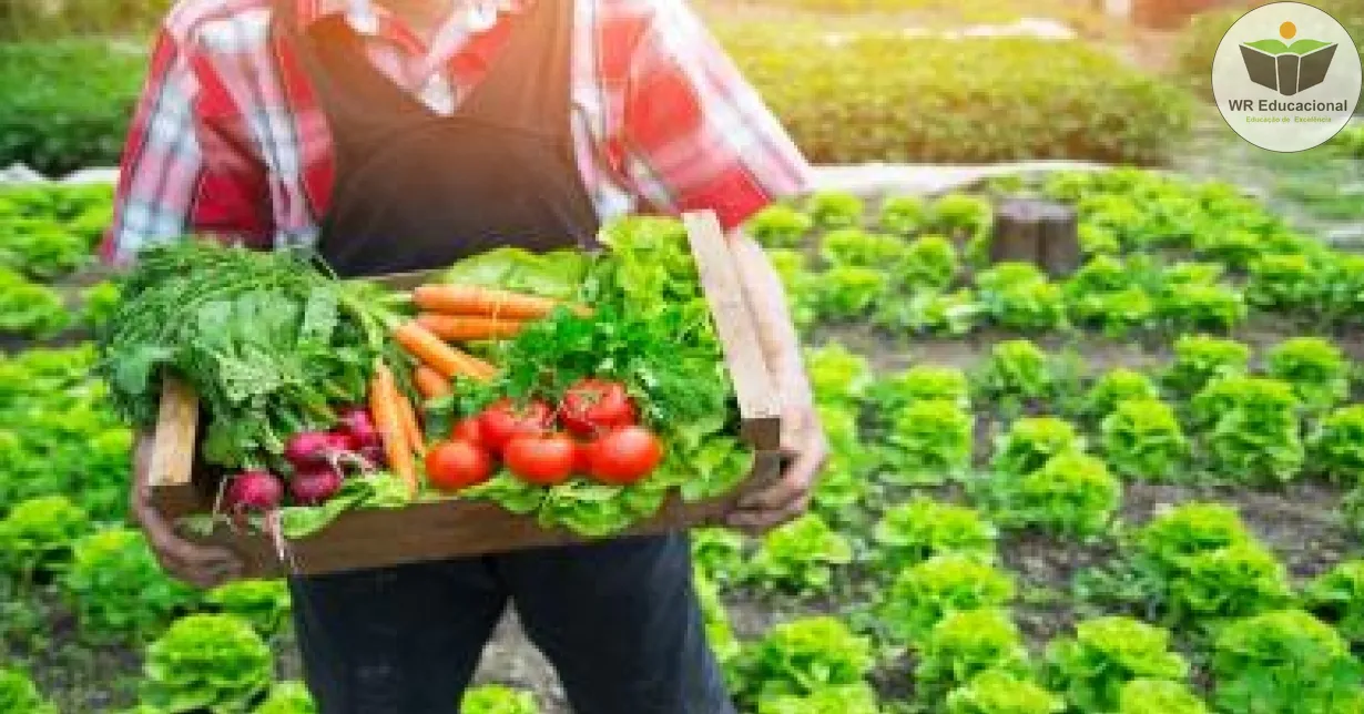 Curso Online Grátis de Produção de Sementes de Hortaliças para a Agricultura Familiar