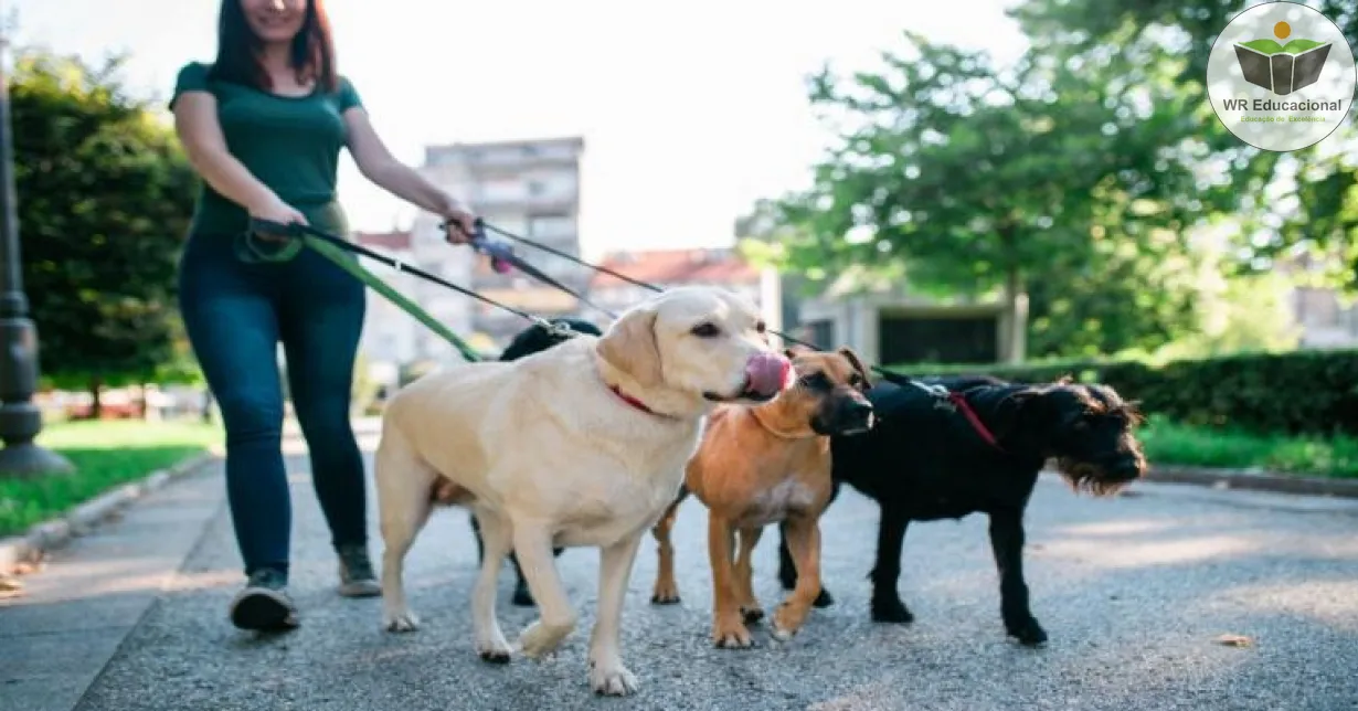 Curso Online Grátis de Dog Walker