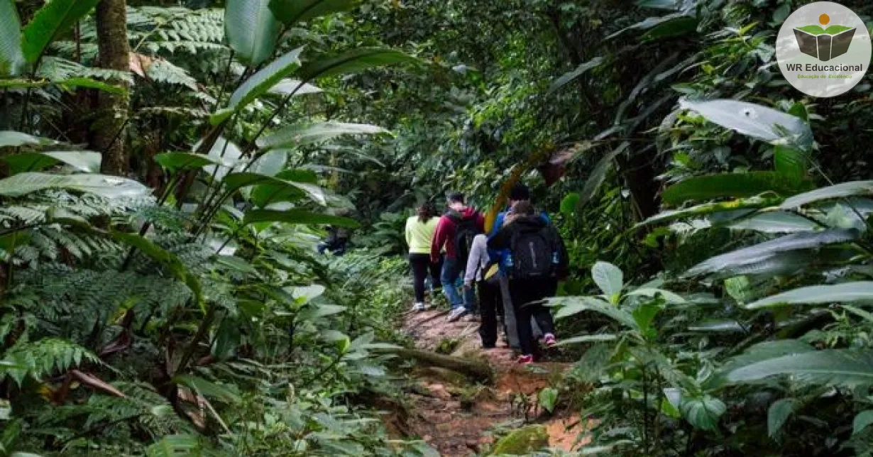 Curso Online Grátis de Ecoturismo e seu impacto no meio ambiente