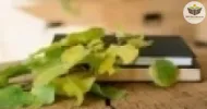 a cultura e o trabalho no contexto escolar rural
