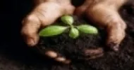 agroecologia e manejo do solo