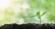 licenciamento e fiscalização na legislação ambiental