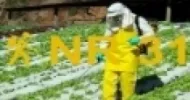 nr 31 - segurança e saúde no trabalho na agricultura, pecuária silvicultura, exploração florestal e aquicultura