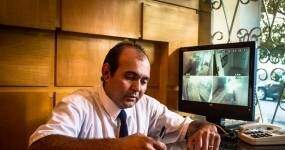 Curso Online Grátis de PORTEIRO E VIGIA