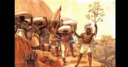 HISTÓRIA DO BRASIL: O IMPÉRIO E O CAFÉ – O GRÃO QUE MUDOU UMA NAÇÃO