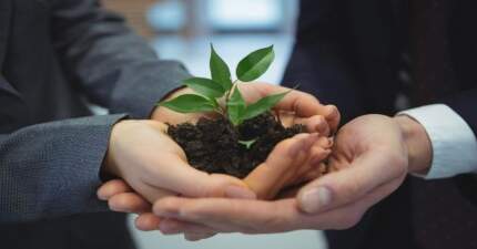 introdução dos cursos de Meio Ambiente