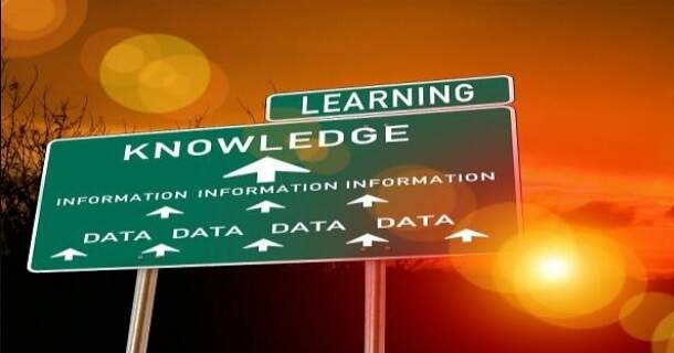 básico em gestão da informação e do conhecimento organizacional