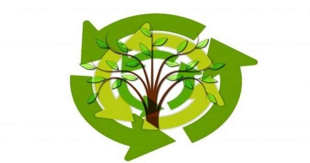iniciação em gestão ambiental e sustentabilidade