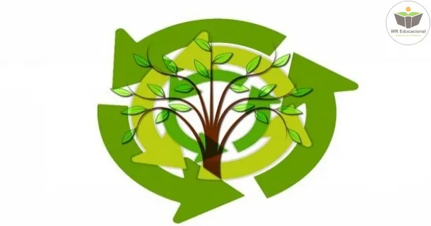 WR Educacional Cursos Gratuitos Com Certificado Válido
