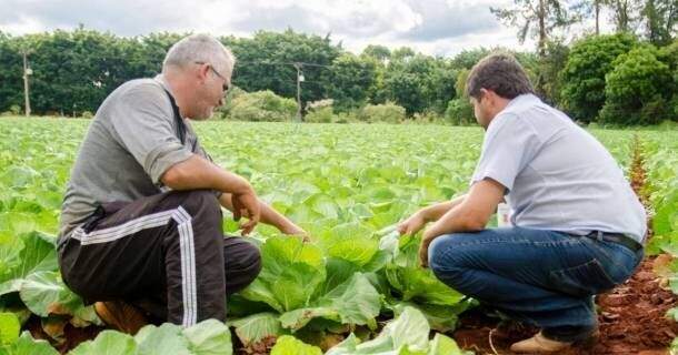 Inicialização a Assistência Técnica e Extensão Rural - Ater 