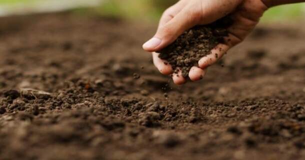 Fertilidade do Solo nos últimos Tempos 