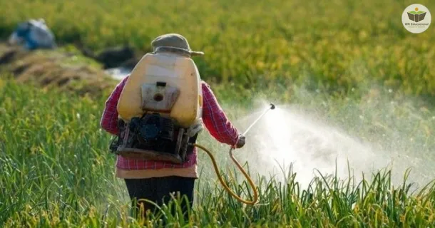 conhecimentos gerais da utilização dos agrotóxicos