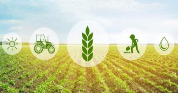 noções da contabilidade rural e perspectivas da gestão no agronegócio