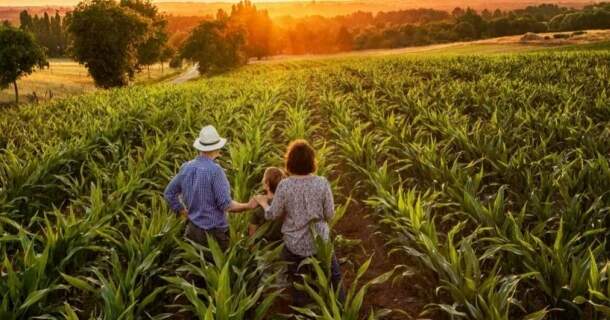 Sistemas Agroflorestais e Agricultura Familiar 