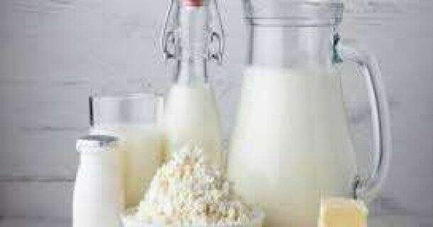introdução a agroindústria: derivados do leite e vegetais