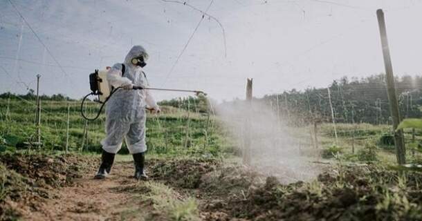 Toxicologia dos Agrotóxicos 