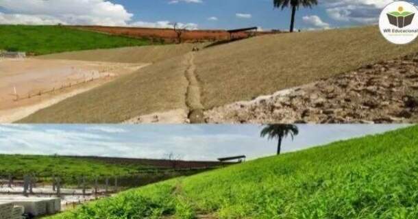 Recuperação de Áreas Degradadas