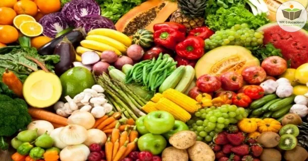 guia alimentar de dietas vegetarianas